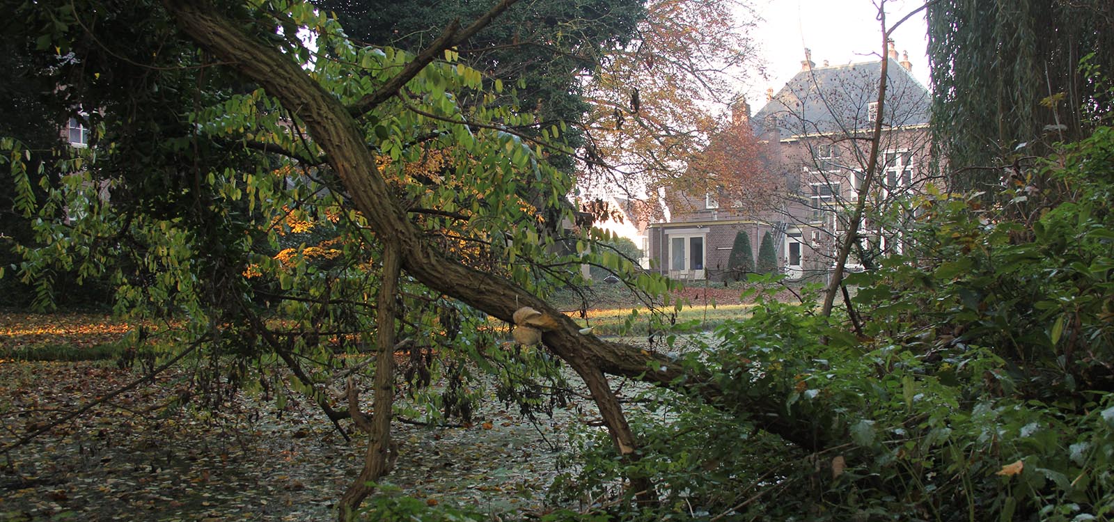 tuin van de pastorie in eindhoven hoogstraat 301